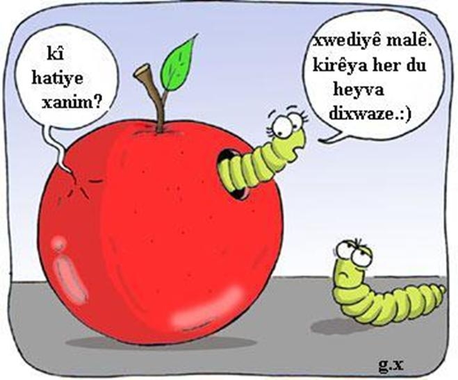 kurmikên sêvê